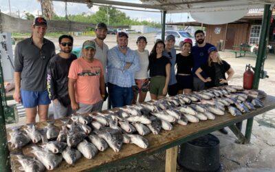 Fishing on the bayou 2022